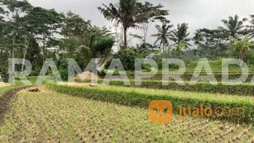 Tanah Pertanian 15 Are Komplek Villa Sidemen Karangasem