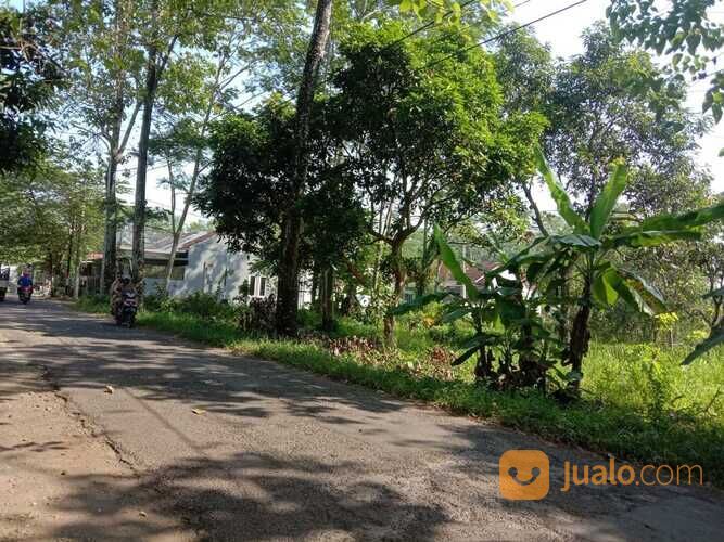 Tanah Pekalongan, Akses Jalan Lebar Area Kajen Dekat Kolam Renang Kulu Asri