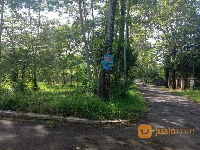 Tanah Pekalongan, Akses Jalan Lebar Area Kajen Dekat Kolam Renang Kulu Asri