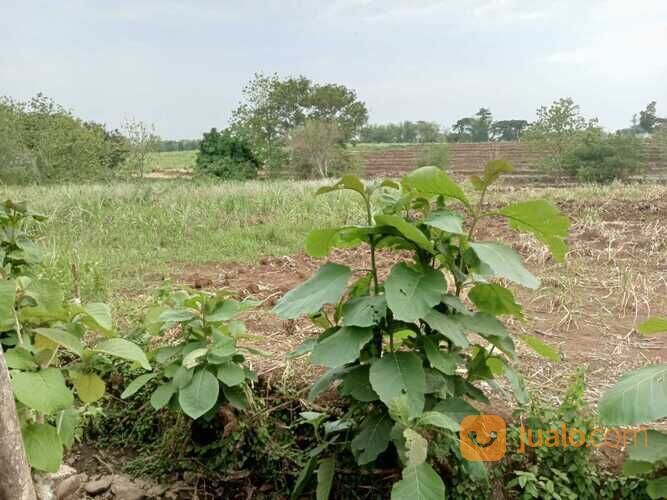 Tanah STRATEGIS 500M2-4000M2 TEMBORO Taji CPT BU