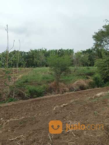 Tanah STRATEGIS 500M2-4000M2 TEMBORO Taji CPT BU