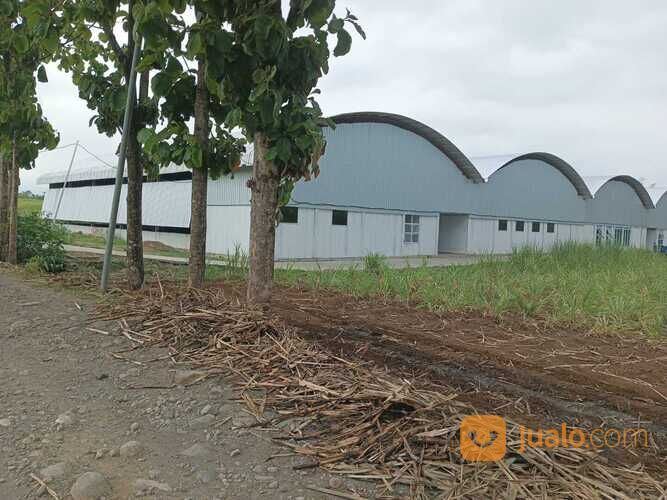 Tanah STRATEGIS 500M2-4000M2 TEMBORO Taji CPT BU