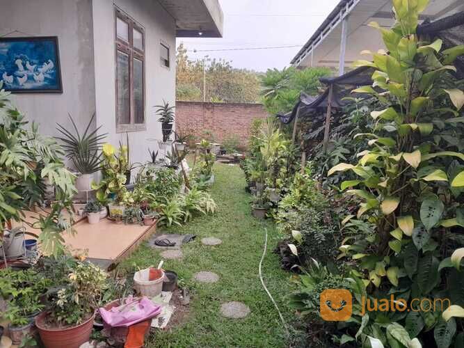 Rumah Luas Strategis Pinggir Jalan P Singkep Sukabumi Bandar Lampung