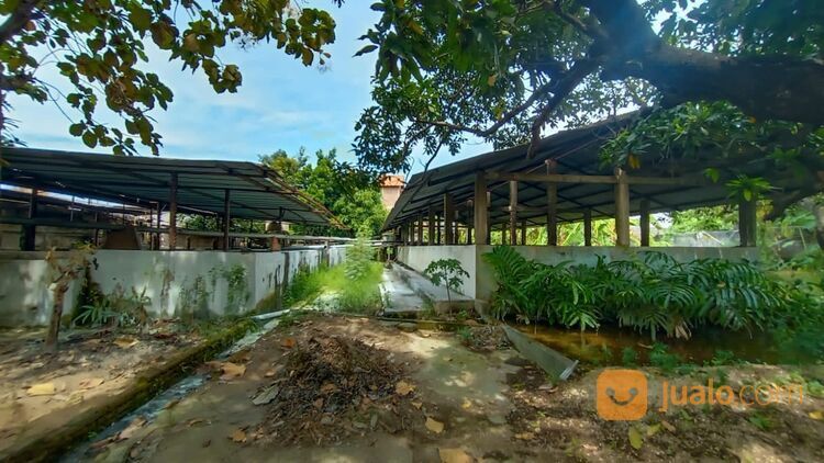 PABRIK ES BALOK MASIH AKTIF WARU dk Sier Berbek industri margomulyo