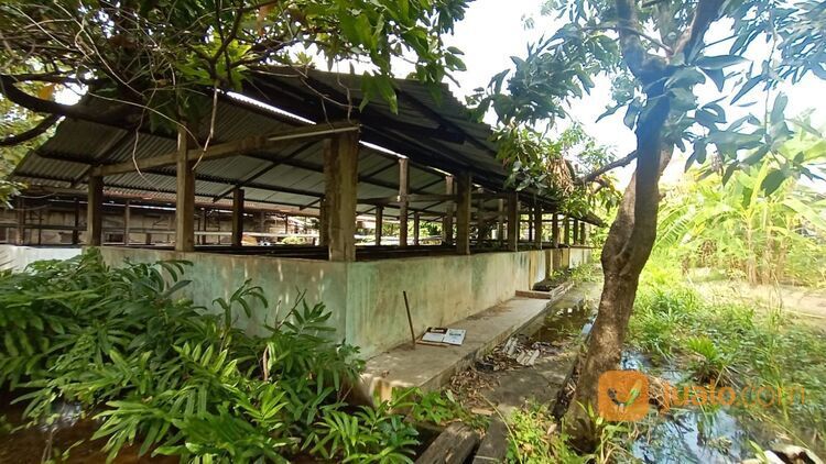 PABRIK ES BALOK MASIH AKTIF WARU dk Sier Berbek industri margomulyo