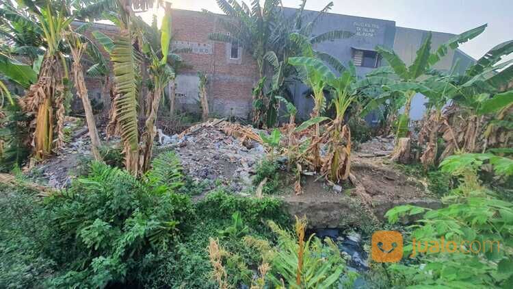 Tanah Tlogomulyo Pedurungan Hadap Timur, Dekat USM