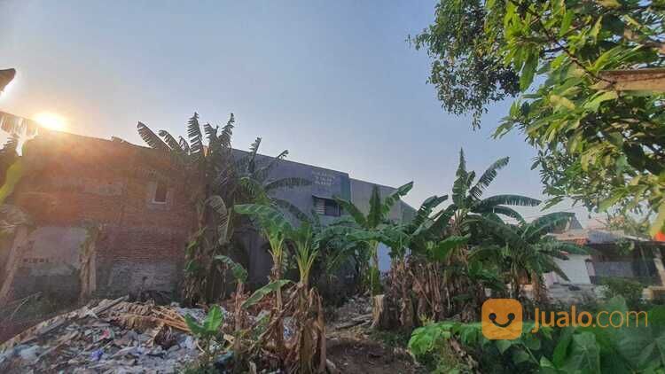 Tanah Tlogomulyo Pedurungan Hadap Timur, Dekat USM