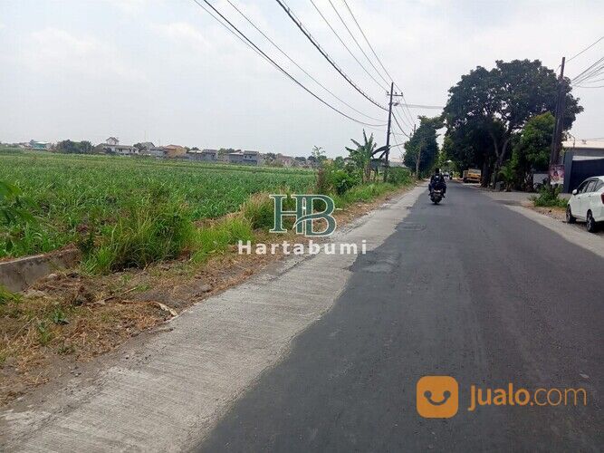 Tanah di Gogorante Ngasem Dekat SMAN 3 Kediri SHM