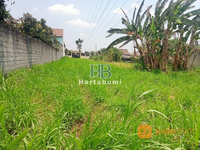 Tanah di Gogorante Ngasem Dekat SMAN 3 Kediri SHM