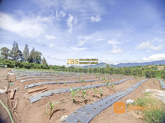 Tanah di Situnggaling Daerah Pariwisata Nasional Jalan Raya Tongging - Merek