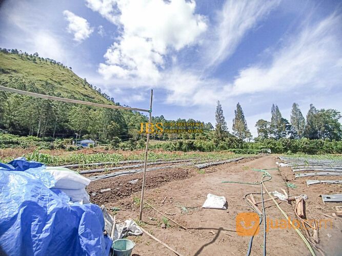 Tanah di Situnggaling Daerah Pariwisata Nasional Jalan Raya Tongging - Merek