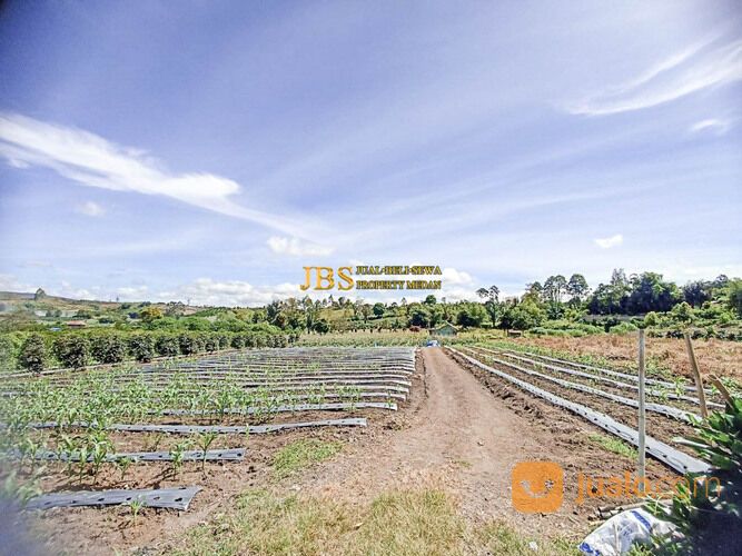 Tanah di Situnggaling Daerah Pariwisata Nasional Jalan Raya Tongging - Merek