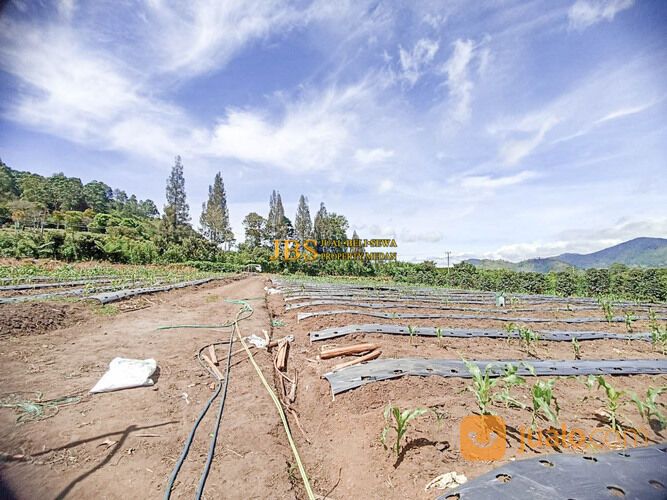 Tanah di Situnggaling Daerah Pariwisata Nasional Jalan Raya Tongging - Merek