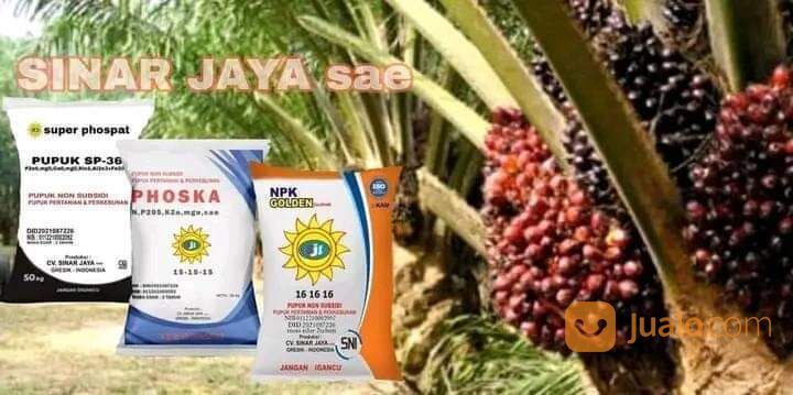 Pupuk NPK Phoska SP36 sudah SNI