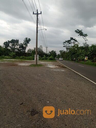 TANAH COCOK UNTUK USAHA DEKAT WADUK BOTOK DI MOJODOYONG KEDAWUNG SRAGEN