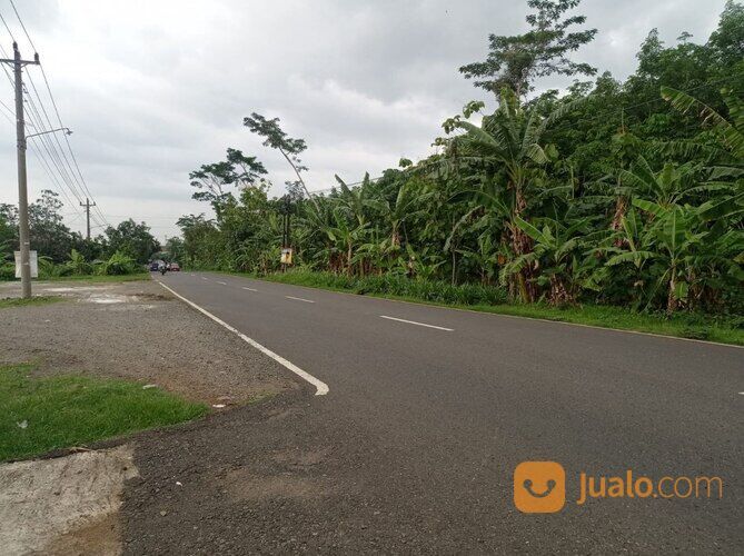 TANAH COCOK UNTUK USAHA DEKAT WADUK BOTOK DI MOJODOYONG KEDAWUNG SRAGEN