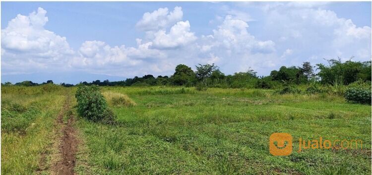 Lahan Kavling Tanah Kec. Ketanggungan Brebes Jawa Tengah