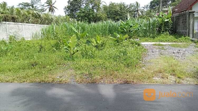 Tanah selatan kelurahan Donokerto Turi barat perempatan Balong jl palagan Utara pendowoharjo