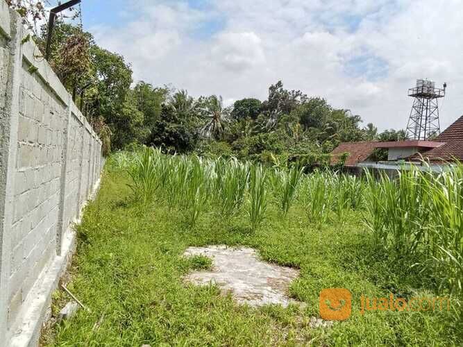 Tanah selatan kelurahan Donokerto Turi barat perempatan Balong jl palagan Utara pendowoharjo