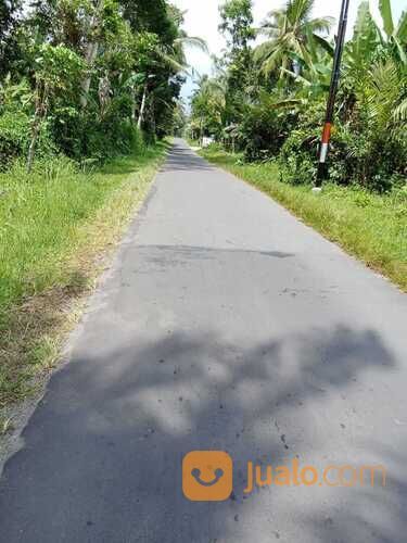 Tanah selatan kelurahan Donokerto Turi barat perempatan Balong jl palagan Utara pendowoharjo