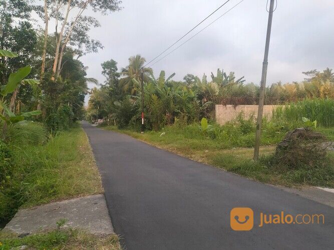 Tanah selatan kelurahan Donokerto Turi barat perempatan Balong jl palagan Utara pendowoharjo
