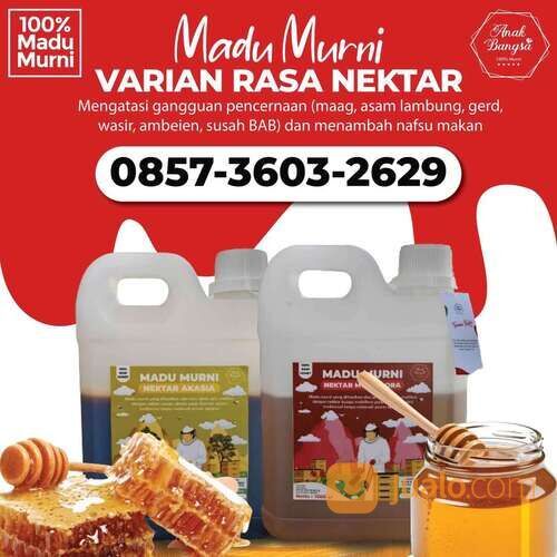 Madu Asli Murni Nektar Varian Ras, WA 0857-3603-2629