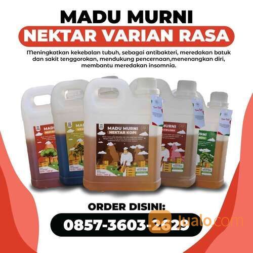 Madu Asli Murni Nektar Varian Ras, WA 0857-3603-2629