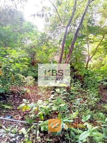 Tanah Lokasi Jl. RE Martadinata, Kijang Lama - Tanjungpinang