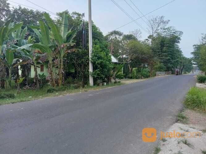 Tanah Pinggir Jalan Raya Kajen, Cocok Buat Ruko, Tanah Murah Pekalongan
