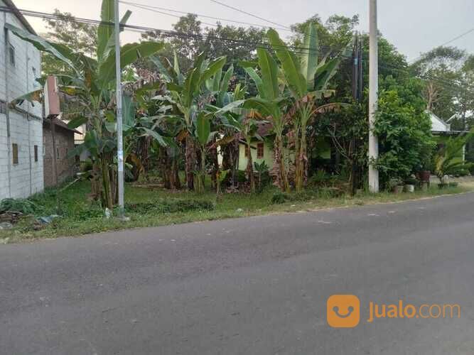 Tanah Pinggir Jalan Raya Kajen, Cocok Buat Ruko, Tanah Murah Pekalongan