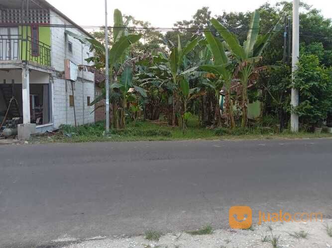 Tanah Pinggir Jalan Raya Kajen, Cocok Buat Ruko, Tanah Murah Pekalongan