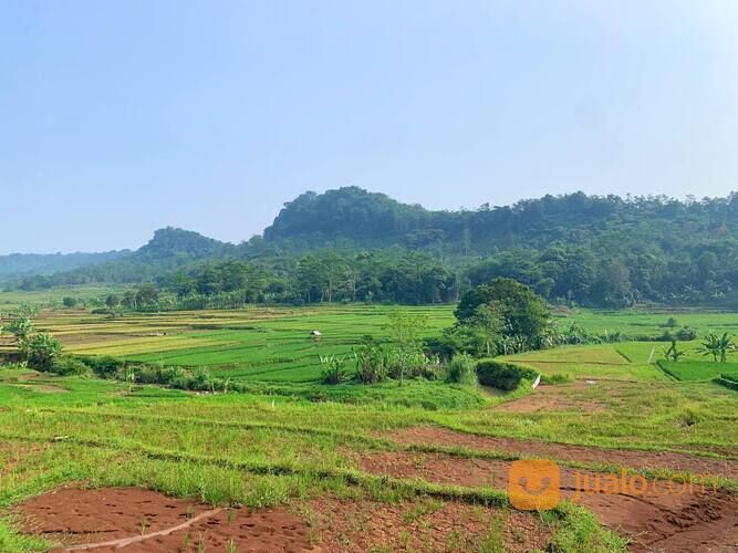 Tanah Kavling Murah View Pegunungan Dan Pesawahan Bogor Timur