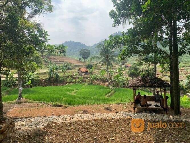 Tanah Kavling Murah View Pegunungan Dan Pesawahan Bogor Timur
