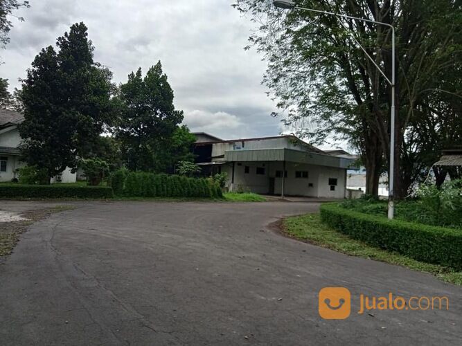 Pabrik kertas mojosari