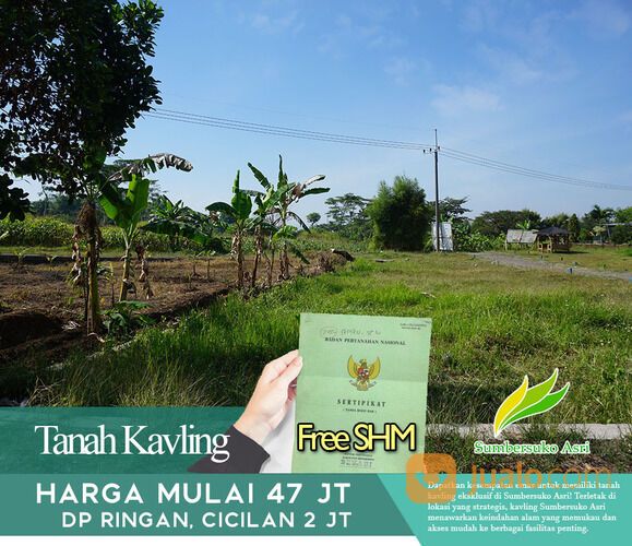 Serenitas di Tengah Hijau: Kavling Sumbersuko Asri dengan View Pegunungan.