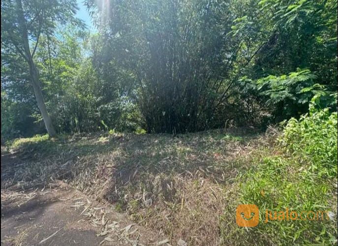 Tanah Daerah Trengguli Denpasar Timur NEGO