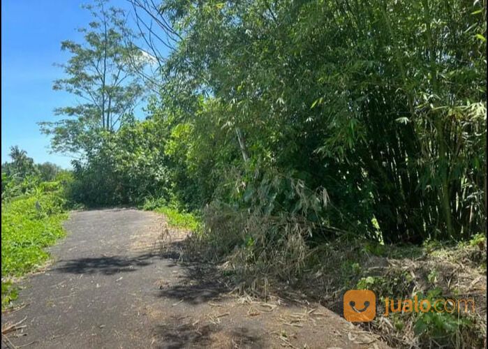 Tanah Daerah Trengguli Denpasar Timur NEGO