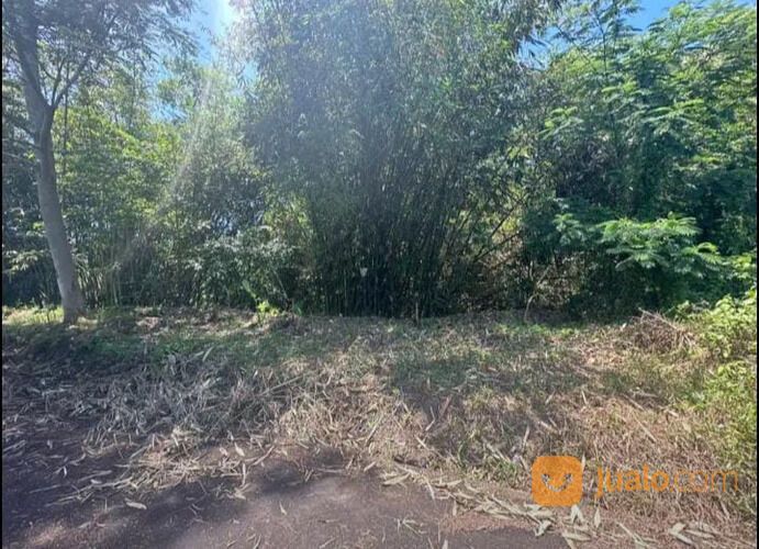 Tanah Daerah Trengguli Denpasar Timur NEGO