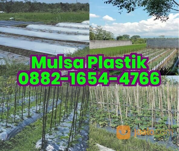 O88ᒿ~165Ꮞ~Ꮞ766 plastik mulsa bekas, mulsa plastik cilacap
