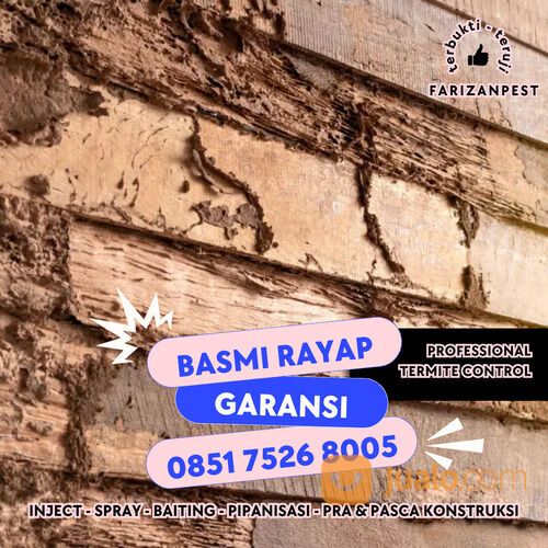 anti rayap terbaik di semarang