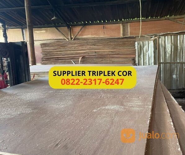 TERLARIS, WA 0822-2317-6247, Triplek cor 12mm Pati