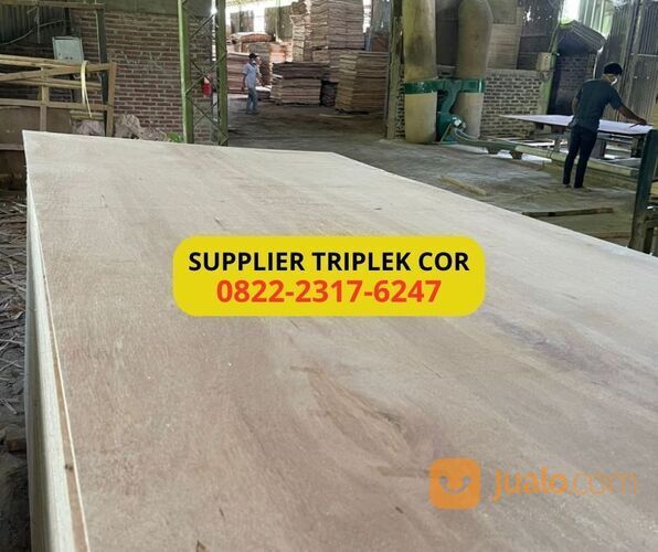 TERLARIS, WA 0822-2317-6247, Triplek cor 12mm Pati