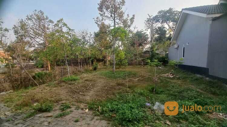 Tanah Murah Pudak payung Belakang Kantor BPK Banyumanik