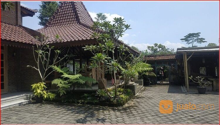 Rumah Joglo Plus Cafe Cemorokandang Kota Malang 1,850 Milyar