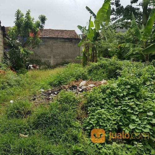 Tanah Pamulang persis belakang MCD Gaplek