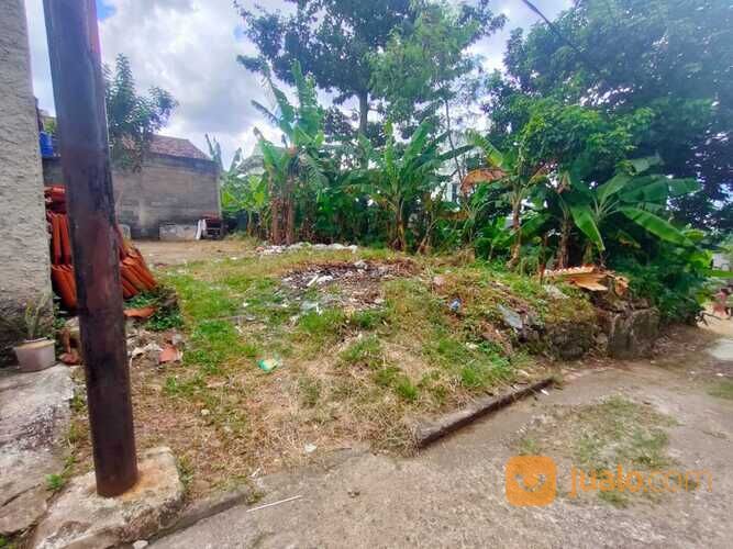 Tanah Pamulang persis belakang MCD Gaplek