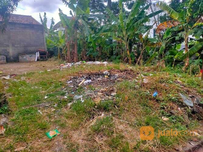 Tanah Pamulang persis belakang MCD Gaplek