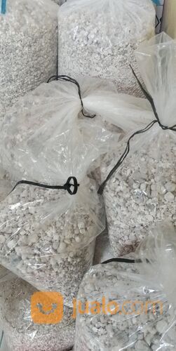 Bigar Bambu Kapur Buluh