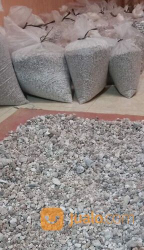 Bigar Bambu Kapur Buluh