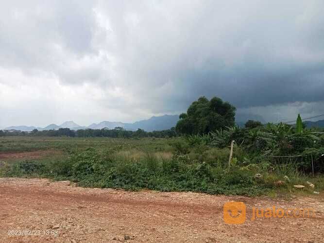 Tanah urugan merah super